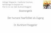 Kollinger Telegramm - Frankfurter Consilium, Ralf ... · Bioenergetik Der humane Haarfollikel als Zugang Dr. Burkhard Poeggeler Kollinger Telegramm - Frankfurter Consilium, Ralf Kollinger
