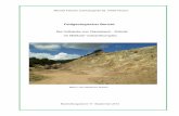 Feldgeologischer Bericht - nossen-bergbau.denossen-bergbau.de/index_html_files/pechstein.pdf · Orthoklas (Kalifeldspat) ist das vorherrschende Mineral, das zuerst mit Hornblenden