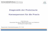 Diagnostik der Proteinurie Konsequenzen für die Praxis · Diagnostik der Proteinurie Konsequenzen für die Praxis Frank Breunig Universität Würzburg, Medizinische Klinik und Poliklinik