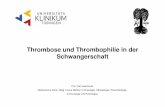 Thrombose und Thrombophilie in der - medizin.uni-tuebingen.de · Thrombose und Thrombophilie in der Schwangerschaft Prof. Karl Jaschonek Medizinische Klinik, Abtlg. Innere Medizin