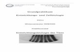 Grundpraktikum Entwicklungs- und Zellbiologiegbucher1/Grundprakt-Skript-09.pdf · Histologie zum Färben verwendet wird. Fuchsin wird in der Feulgenschen Nuclealreaktion eingesetzt,