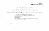 BSc UGW Modulhandbuch Reakkr Mai 2013 final - uni-trier.de · b) Verfahren und Arbeitsansätze in Hydrologie und Wasserwirtschaft Wasserhaushaltsgleichung, Bearbeitung hydrologischer