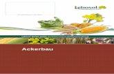 Ackerbau · PDF fileAckerbau Lebosol® Dünger GmbH Ihr Partner rund um die Pflanzenernährung Ihr Ansprechpartner in der Region