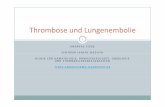 Thrombose und Lungenembolie - haemophiliehannover.de · thrombose und lungenembolie 1 andreas tiede zentrum innere medizin klinik fÜr hÄmatologie, hÄmostaseologie, onkologie und