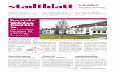 Der starke Wohnbau- trend hält anww2.heidelberg.de/stadtblatt/2017/2017_47_stablakompl.pdf · lem in Bergheim, der Bahnstadt und in Kirchheim. Das zeigt der aktuelle Bautätigkeitsbericht