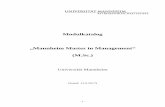 Modulkatalog Mannheim Master in Management (M.Sc.) · - 2 - Aufbau und Konzept des Studiengangs Der „Mannheim Master in Management“ (MMM) bietet ein einzigartiges Lehrangebot,