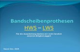 HWS – LWS - bandscheiben-forum.com · Therapieresistente Radikulopathie mit oder ohne Sensibilitätsstörungen in 1–2 Segmenten bei intakten Facettengelenken. Dringliche Indikationen