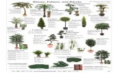 Bäume, Palmen und Büsche alle Pflanzen ohne Töpfe · 70 Grün- und Blütenpflanzen alle Pflanzen ohne Töpfe Efeubusch-ranke Deluxe, grün 160 cm, 1365 Blatt, 82503712 Efeubusch-ranke