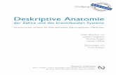 Deskriptive Anatomie - Quintessence Publishing Deutschland · Vorwort und Danksagung Das Basiswerk „Anatomie der Zähne und des kraniofazialen Systems“ wurde im Jahr 2003 publiziert.
