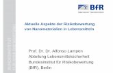 Aktuelle Aspekte der Risikobewertung von Nanomaterialien ...nanobionet.de/fileadmin/Dateien/Size_Matters_2013/lampen risikobewertung von... · Prof. Dr. Dr. Alfonso Lampen – Size