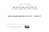 Jahresbericht 2017 - ananas.at · 4 Fachliche Ausrichtung der Ananas Familien-beratung GmbH Die Ananas Familienberatung GmbH arbeitet auf Basis eines psychoanalytisch-pädagogischen