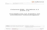 Celanese EHS - Richtlinie 1.1 (CER 1.1) Durchführung von ... · Dieses Dokument wurde gedruckt am: 01.07.201301.07.2013 11:04:00 Der „Sicherheitscheck vor Arbeitsbeginn für Hochdruck-Reinigung“