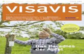 Das Paradies der Äpfel - eswe-versorgung.de · ENERGIE LEBENSART INNOVATION VISAVIS _ 2.2019 Freizeit / Kulturwandern im Rheingau _ SEITE 8. Wärmeversor-gung / Innovatives Heizkonzept