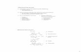 11 VO Hormone - lossl.delossl.de/_VO_951-309_10_Hormone.pdf · 1 Regulation durch Beeinflussung der Zellteilung: Zell-Elongation Zell-Differenzierung Bereits geringe Mengen der Hormone
