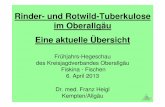 Rinder- und Rotwild-Tuberkulose im Oberallgäu Eine ...lutzmoeller.net/Wild/Hirsch/Tuberkulose/Vortrag Dr. Heigl_060413.pdf · Rinder- und Rotwild-Tuberkulose im Oberallgäu Eine