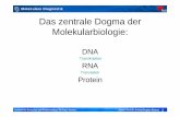 Das zentrale Dogma der Molekularbiologie (VO1).ppt zentrale Dogma der... · Molekulare Diagnostik Institute for Genomics and Bioinformatics, TU Graz / Austria Assoc. Prof. Dr. Juliane