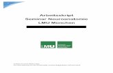 Arbeitsskript Seminar Neuroanatomie LMU M¼nchen .8 Seminartag Basics 1: Allgemeine Grundlagen des