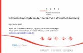 Schlüsselkonzepte in der palliativen Wundbehandlung - KAI · Schlüsselkonzepte in der palliativen Wundbehandlung KAI, Berlin 2017 Prof. Dr. Sebastian Probst, Professor für Wundpflege