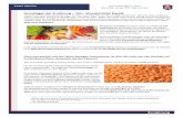 Grundlagen der Ernährung – Teil I: Wundermittel Eiweiß A/Ernährungs-Grundlagen.pdf · PDF fileGrundlagen der Ernährung – Teil I: Wundermittel Eiweiß Proteine stehen mehr