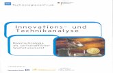 Nanotechnologie als wirtschaftlicher Wachstumsmarkt · Nanotechnologie als wirtschaftlicher WachstumsmarktWachstumsmarkt InnovationsInnovations--- und Technikanalyse und Technikanalyse