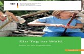 Ein Tag im Wald 2016 - waldkulturerbe.de · Hereinspaziert in Deutschlands größte Klimaanlage, Sauerstofffabrik und Erholungseinrichtung! Willkommen im wertvollen Naturraum, Wasserspeicher