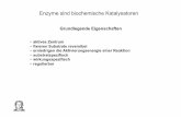 aktives Zentrum fixieren Substrate reversibel erniedrigen ...user.uni-frankfurt.de/~dingerma/Podcast/09-Proteine2009.pdf · Enzyme sind biochemische Katalysatoren Grundlegende Eigenschaften