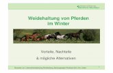 Weidehaltung von Pferden im Winter - riswick.de · Nach dem Bundes-Bodenschutzgesetz (BBodSchG) hat sich jeder, der auf den Boden einwirkt, so zu verhalten, dass schädliche Bodenveränderungen