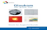 Glaukom · 3 Liebe Patientin, lieber Patient, mit dieser Informationsbroschüre möchten wir Sie auf die Erkrankung Glaukom aufmerksam machen. Wichtig ist es uns dabei, Ihnen das