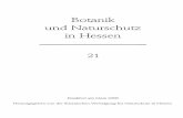 Botanik und Naturschutz in Hessen 20 - kp-buttler.de · BNH 21 12 L’Euphraise nordique (Euphrasia frigida) en Hesse Résumé: Euphrasia frigida est une espèce boréo-montagnarde