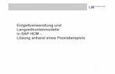 Langzeitkonten SAP HCM -   · PDF fileEntgeltumwandlung und Langzeitkontenmodelle in SAP HCM – Lösung anhand eines Praxisbeispiels 10.05.2013   1