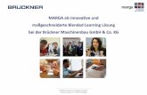MARGA als innovative und maßgeschneiderte Blended Learning ... · 07.12.2010 · Das Zusammenspiel unterschied-licher Unternehmensbereiche- und -funktionen in seiner ganzen Komplexität