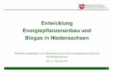 Entwicklung Energiepflanzenanbau und Biogas in ... - ifeu.de · Biogas Biodiesel Bioethanol Anteil der Verwertungslinien am Energiepflanzenanbau Energiepflanzenanbaus nach Verwendung