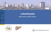 Elke Lainka, Patrick Gerner - uk-essen.de · Pädiatrische Endoskopie, Basiskurs, Wolfsburg 2012 Komplikationen • Blutung • Hämatom (asymptomatische Leberhämatome 1-20%) •