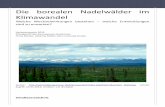 Die borealen Nadelwälder im Klimawandelbildungsserver.hamburg.de/contentblob/6558378/97c77f4d2a8c5e19dcd... · Die borealen Nadelwälder im Klimawandel Welche Wechselwirkungen bestehen