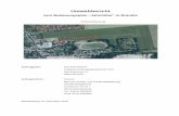 Umweltbericht - buergerbeteiligung.sachsen.de · Weitergehende Forderungen zur Betrachtung von Fauna, Flora, Biodiversität sowie des Landschaftsbildes für die Umweltprüfung (Umweltbericht)