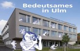 Bedeutsames in Ulm - hans-lebrecht-schule.de · sche Bank Ulm, die durch ihre großzügigen Spenden die Durchführung dieses Projekts mit professioneller Anlei-tung und Ausgestaltung