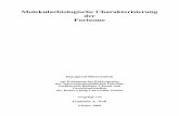 Molekularbiologische Charakterisierung der Forisomegeb.uni-giessen.de/geb/volltexte/2007/4805/pdf/NollGundula-2005-12-12.pdf · bei der Ausdifferenzierung der SE und ist durch die