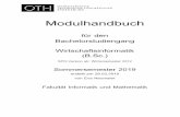 Modulhandbuch - oth-regensburg.de · SoSe: Unternehmenssimulation (US); WiSe: Rechnungswesen 1 (RW 1); im SoSe 2019 wird für die "SoSe-Starter" das Modul RW1 zusätzlich angeboten.