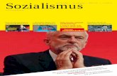 Sozialismus - europa-neu-begruenden.de · sie das Prinzip der Gleichheit selbst auf, wenn strukturelle Min- derheiten entstehen, also strukturelle Subalternität deren demo- kratische