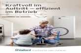 Bodenstehende Gas-Brennwertkessel ecoVIT ecoVIT exclusiv ... dezentralen L¼ftungen recoVAIR ideal