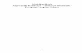 Modulhandbuch Angewandte Informatik / Technische ... · Praktikum: Selbständige Bearbeitung der Aufgaben in 2-er Gruppen, Begutachtung der Lösungen, Gesprächsführung Literatur
