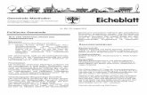 Eicheblatt Nr. 500 - · PDF filehentengen - Waldshut - Albbruck - Bad Säckin-gen - Rheinfelden D - Grenzach - Basel oder Wyland - Downtown Von Stein am Rhein bis nach Zürich. Stein