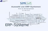 Auswahl von ERP-Systemen · ERP-Einführung Erstellung eines Pflichtenhefts Customizing Softwareanpassungen Beratungsleistungen Integration des ERP-Systems in die eigene IT-Infrastruktur