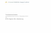 Bilanz GuV Einzelabschluss - KTG Agrar SE · PAE Agrarproduktions- und Verwaltungs-AG Putlitz, Putlitz (Zwischenholding) (Beteiligungsquote direkt und indirekt) (95,46) 3.769 605
