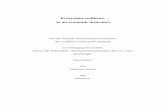 Ecosystem resilience as an economic insuranceopus.uni-lueneburg.de/opus/volltexte/2012/14209/pdf/Dissertation_Strunz_2011_12_15... · Das Konzept der Resilienz ist zur Darstellung