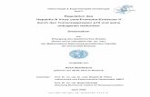 Regulation des Hepatitis B Virus core-Promotor/Enhancer II ...rosdok.uni-rostock.de/file/rosdok_disshab_0000000145/rosdok_derivate_0000003713/... · Vektorologie & Experimentelle