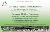 Der TEEB-Prozess in Deutschland - ioer.de · A future task in good hands Der TEEB-Prozess in Deutschland Aufgaben & Ziele, Konzept, nationaler und internationaler Rahmen Процесс