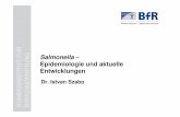 Epidemiologie und aktuelle Entwicklungen - Startseite - BfR · Einsendungen von Salmonella Paratyphi B (dT+) (1991-2011) aus deutschem Geflügel 0 50 100 150 200 250 9 1 9 3 1 9 5