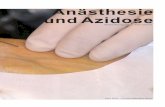 Anästhesie und Azidose - SIGA/FSIA · Das Ziel der Arbeit besteht darin, mehr Sicherheit im Verständnis der Physiologie und Pa- thophysiologie, Routine in der Interpretation von