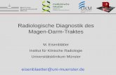 Radiologische Diagnostik des Magen-Darm-Traktes · • Ein bisschen Duodenum • 2/5 Jejunum im linken oberen Abdomen • 3/5 Ileum im rechten unteren Abdomen • Gefäßversorgung